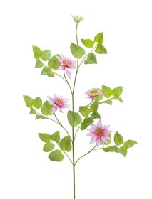 Clematis Vine (Set of 12) 30"L Polyester/Plastic