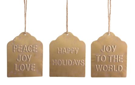 Tag Ornament (Set of 12) 9.5"H Metal