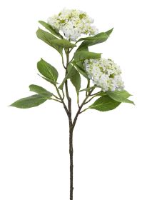 Hydrangea Branch (Set of 6) 32"H Polyester  4