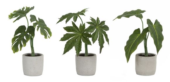 Potted Foliage (Set of 6) 10"H, 10.5"H, 11.5"H Polyester/Plastic