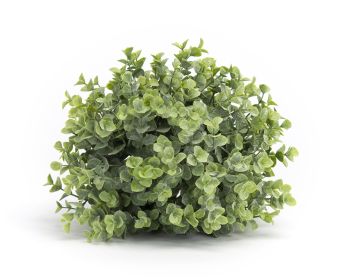 Boxwood Half Orb (Set of 6) 7"D Plastic