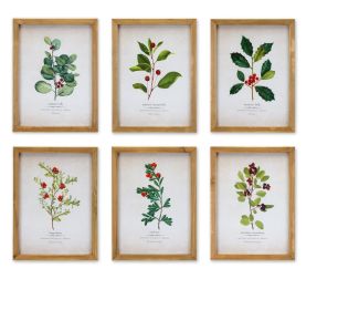 Framed Winter Foliage (Set of 6) 10.5"L x 14.25"H Paper/Wood/Glass