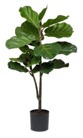 Potted Fiddle Leaf Fig 40"H Polyester/Plastic