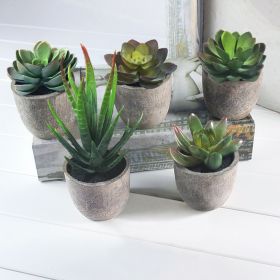 5Pcs Artificial Succulent Cactus Plants with Gray Pots