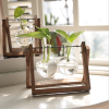 Hot selling water planting glass flower vase with wooden frame chinese home decor modern mini table vase - Three bottles